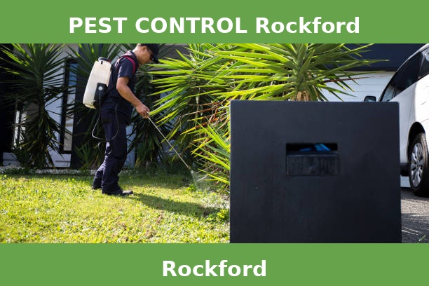 PEST CONTROL Rockford